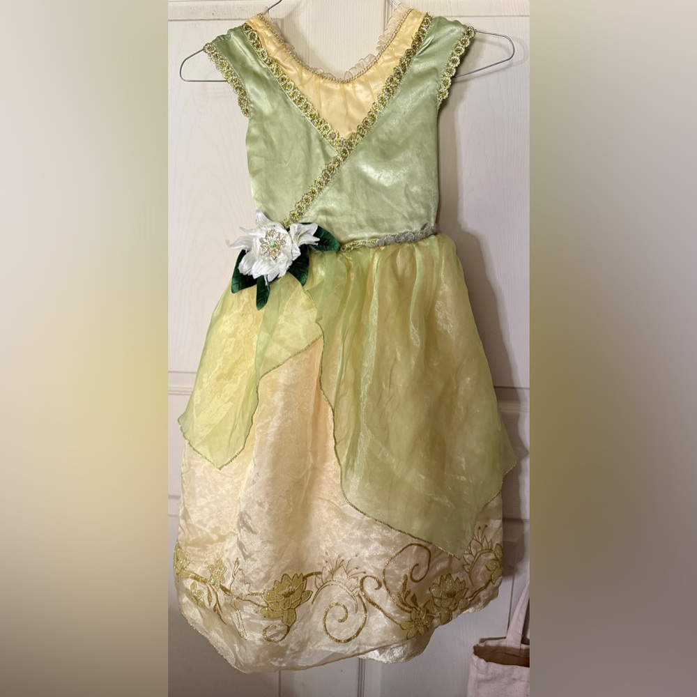 Disney Princess dress Princess and the Frog Tiana